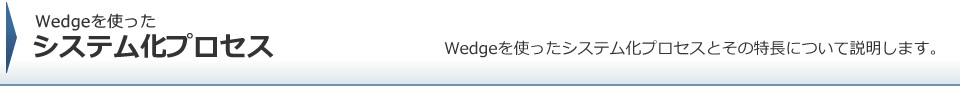 Wedgeを使ったシステム化プロセス