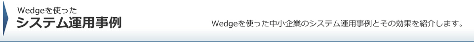 Wedgeを使ったシステム運用事例